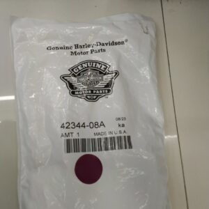 RWHQ250093 - Harley Davidson Piston & Seal Kit 42344-08A